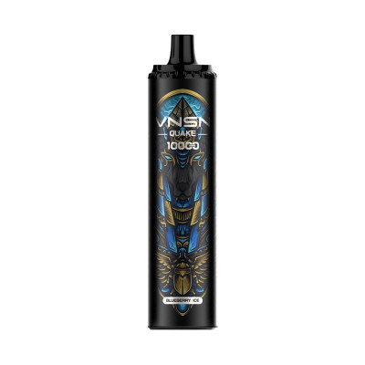 VNSN QUAKE Disposable 10000 puffs Blueberry ice
