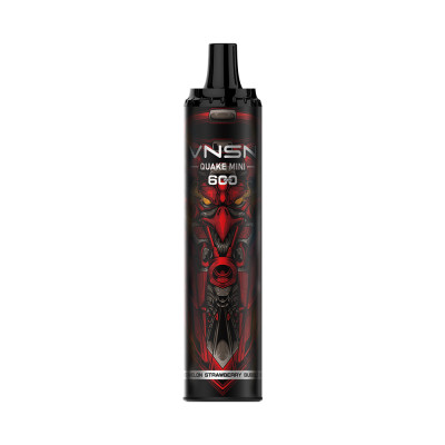 VNSN QUAKE MINI Disposable 600 puffs Watermelon Strawberry bubblegum 